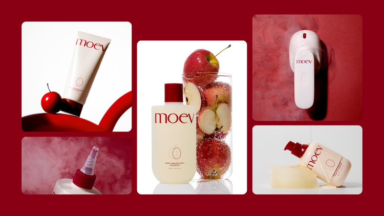MOEV
