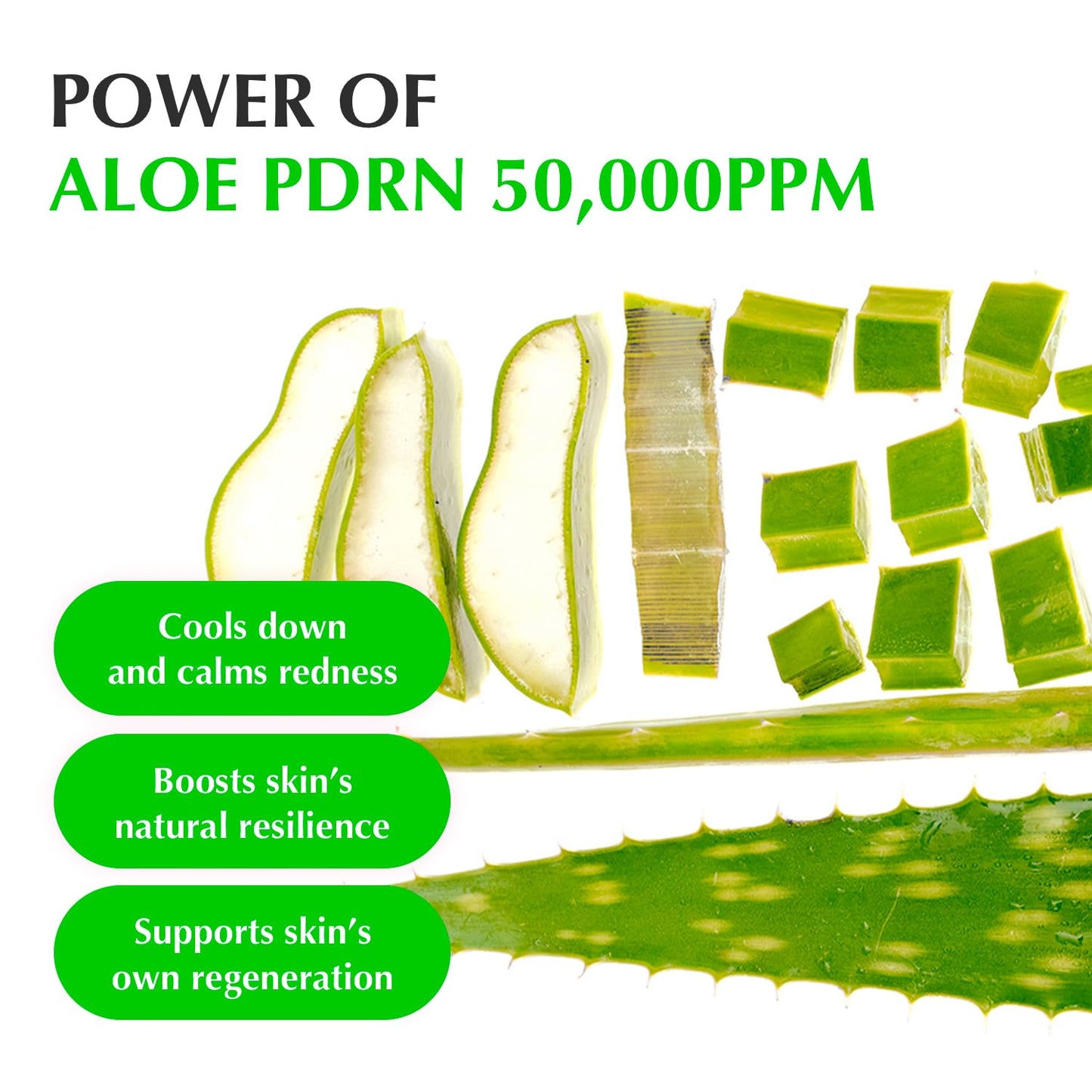 [EQQUALBERRY] ALOE PDRN CALMING SERUM 30ml/ALOEPDRN
