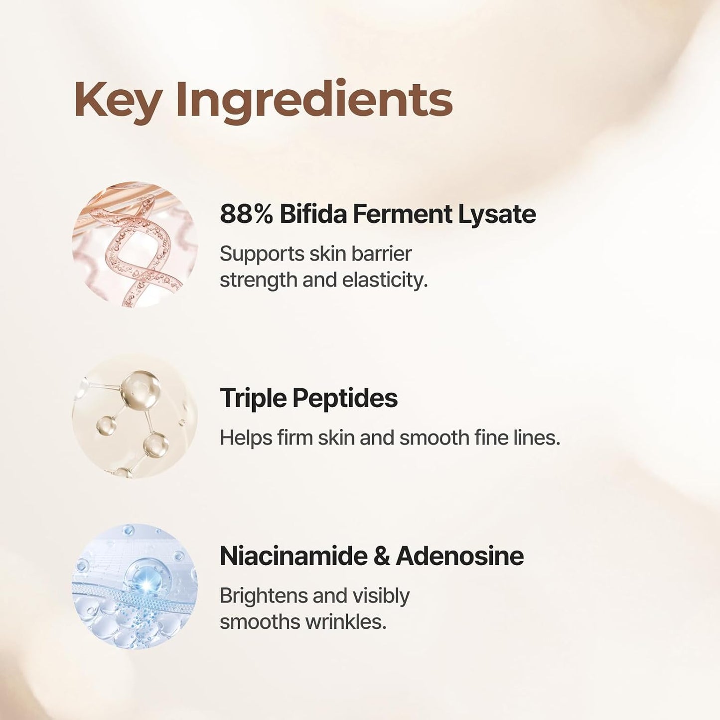[Isntree] TW-Real Bifida Ampoule 50ml