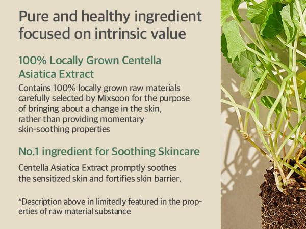 [MIXSOON] Soondy Centella Asiatica Essence 100ml