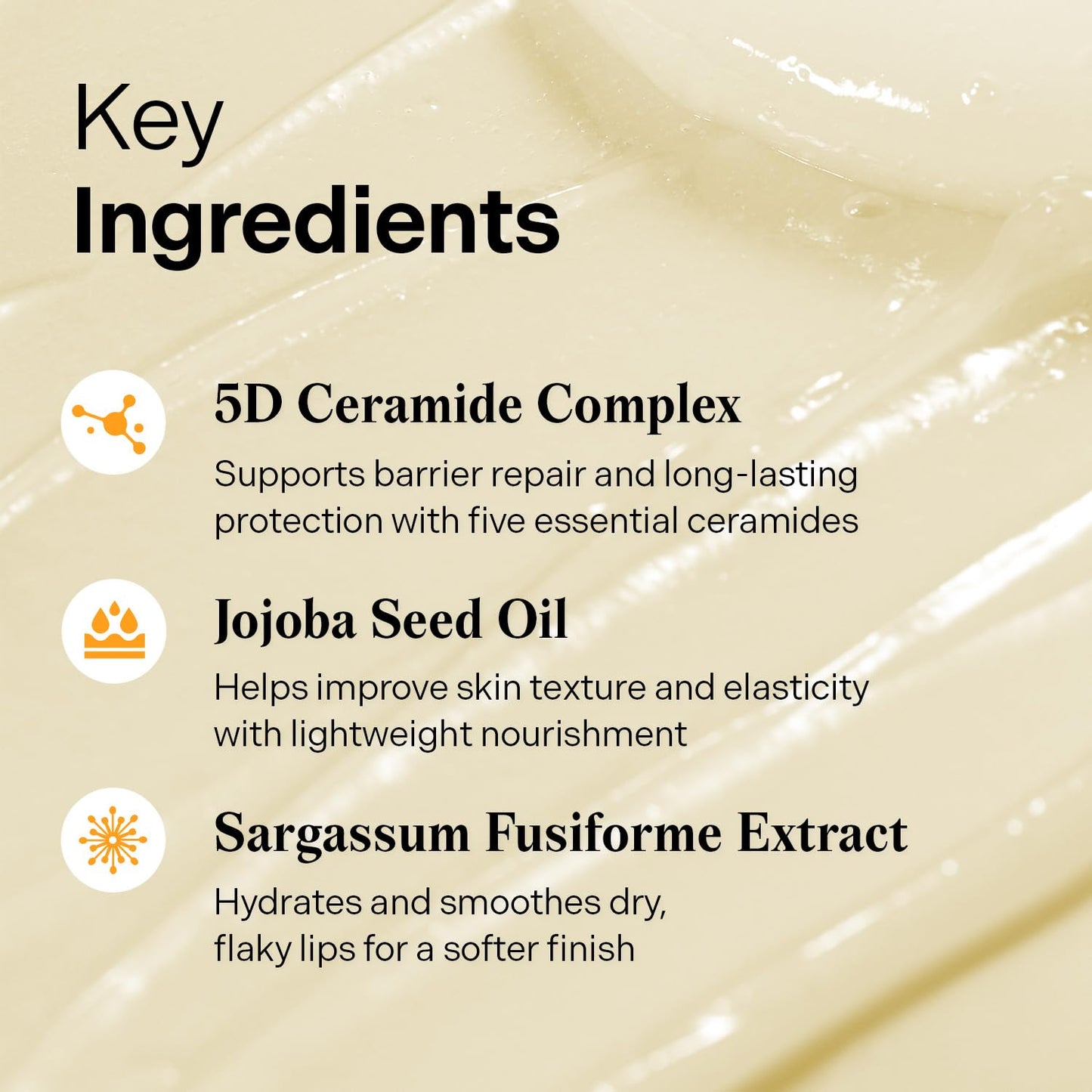 [TORRIDEN] SOLID IN Ceramide Lip Essence